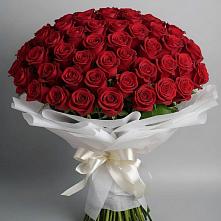 Букет 101 Красная роза Блэк Мэджик #REPLACE_PRED# Забродах