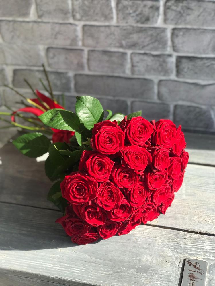 Букет Красные розы Фридом в Забродах