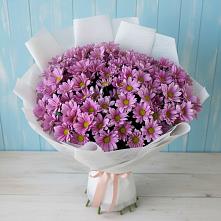 Букет цветов из:  Хризантемы в Забродах