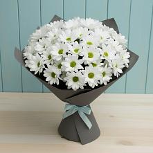 Букет цветов из:  Хризантемы в Забродах