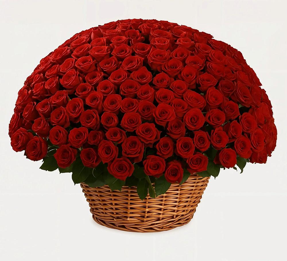 Премиум букет из: Розы в Забродах