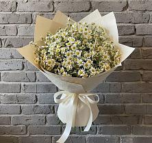 Букет цветов из:  Ромашки #REPLACE_PRED# Забродах