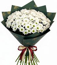 Букет цветов из:  Хризантемы #REPLACE_PRED# Забродах