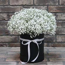 Цветочная композиция из Гипсофила в шляпной коробке в Забродах