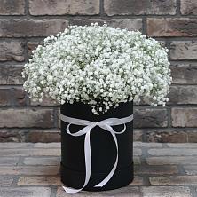 Цветочная композиция из Гипсофила в шляпной коробке в Забродах