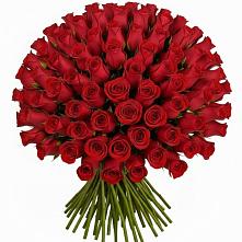 Букет Красные розы Чери Лав в Забродах